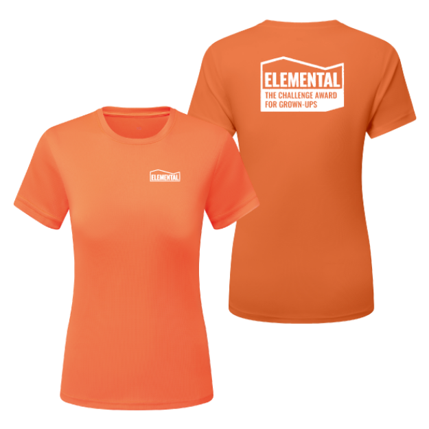 Picture of Elemental Challenge - Ladies Fit Performance T-Shirts