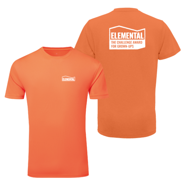 Picture of Elemental Challenge - Unisex Performance T-Shirts